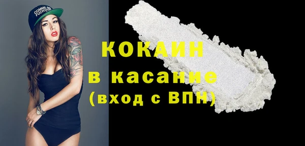 прущие грибы Михайловка