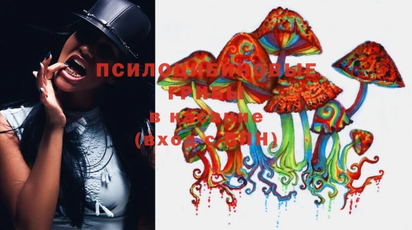 винт Гусиноозёрск