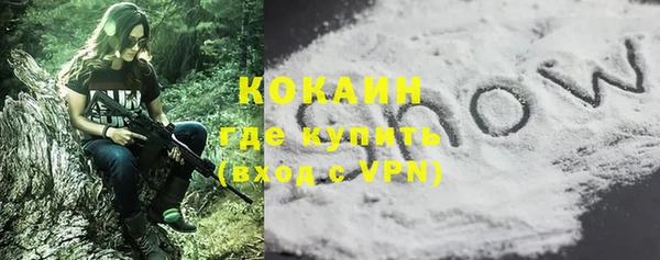 шишки Щигры