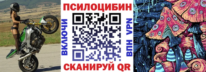 где можно купить   Нерюнгри  Псилоцибиновые грибы Psilocybine cubensis 