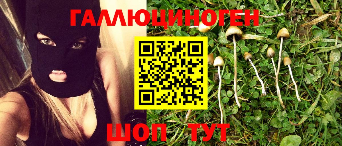 Галлюциногенные грибы Psilocybe  Вход с VPN  хочу наркоту  Нерюнгри 